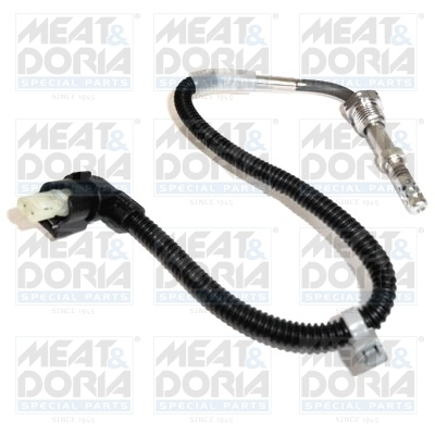 Sensor, exhaust gas temperature